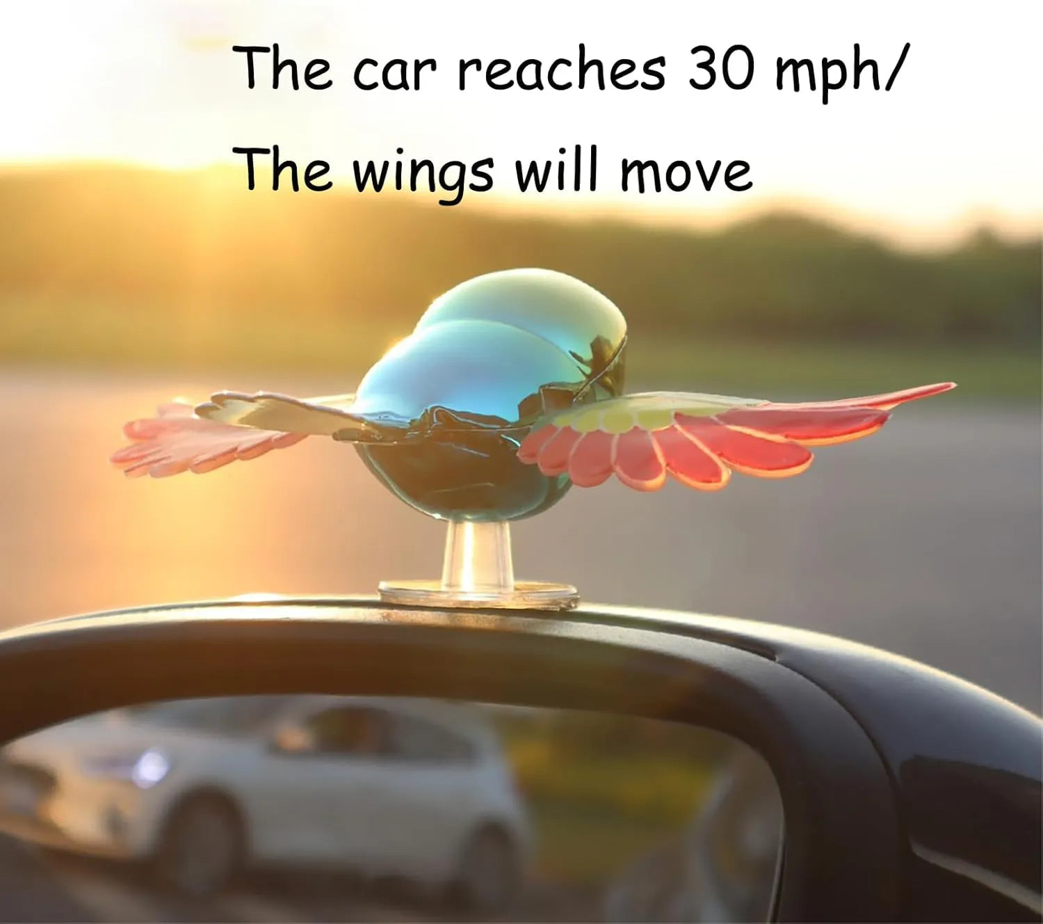 Car And Cycle Flying Bird Accessories - Image 3