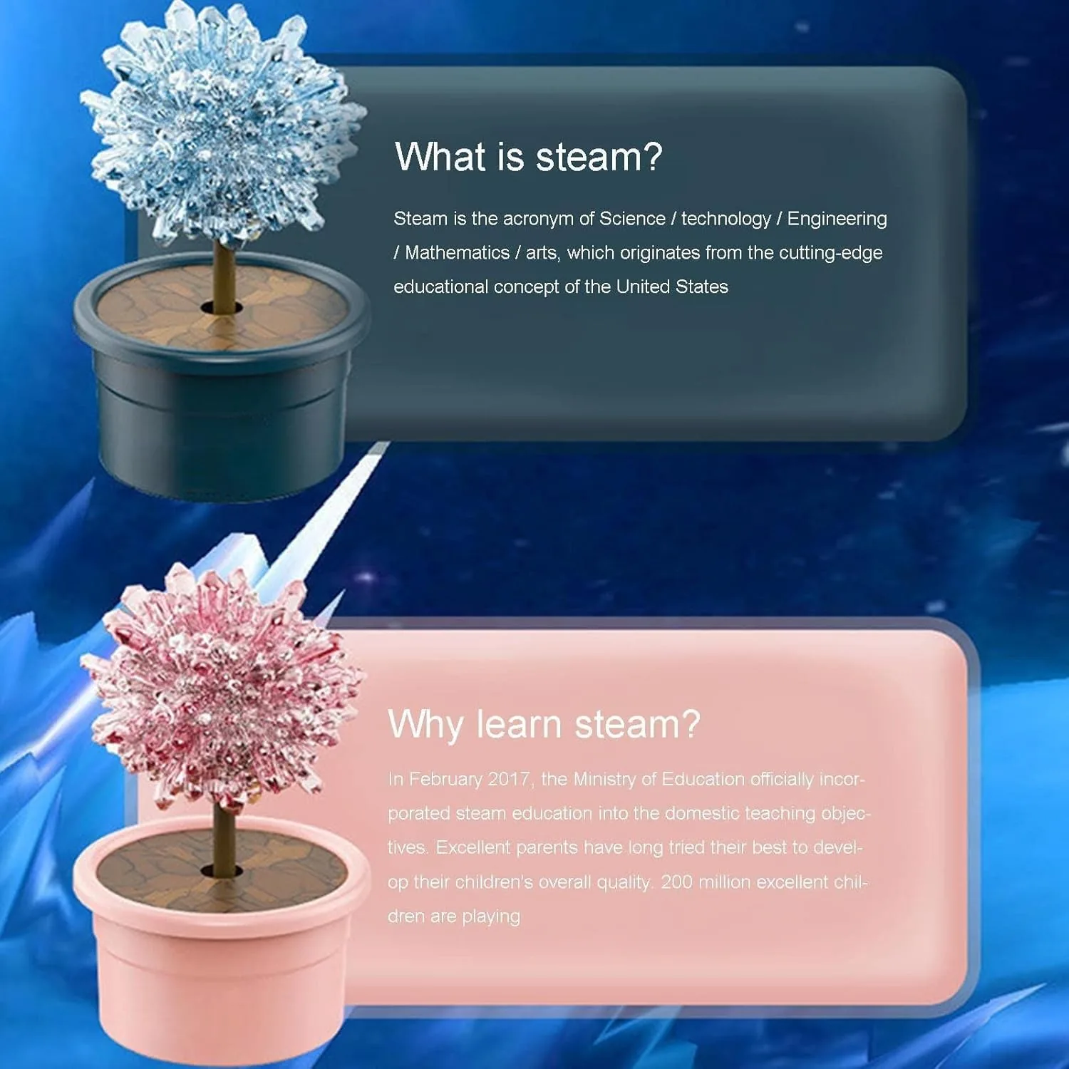 DIY Scientific Creative Crystal Flower - Image 2