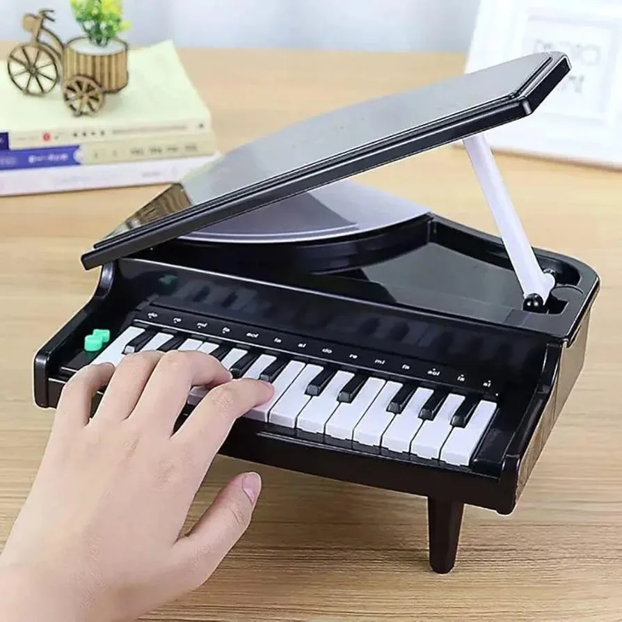 Portable 25 Key Piano With Light And Sound - Image 2