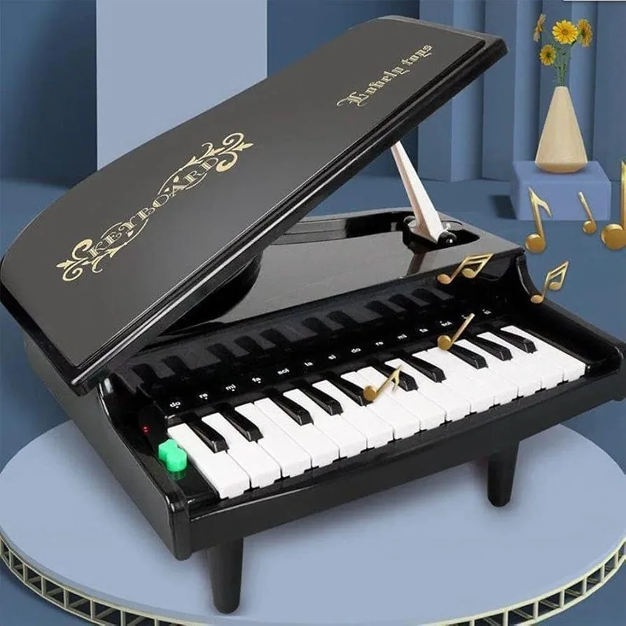 Portable 25 Key Piano With Light And Sound - Image 4