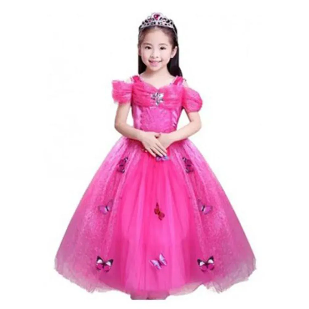 Cinderella Princess Butterfly Costume
